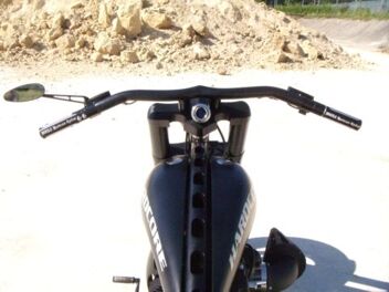 theiler_3_b.jpg